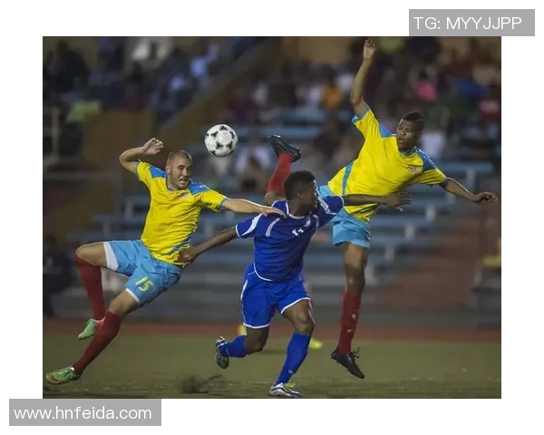 2010年荷兰足球明星的辉煌历程与世界杯征战回顾