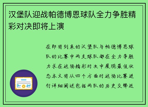 汉堡队迎战帕德博恩球队全力争胜精彩对决即将上演